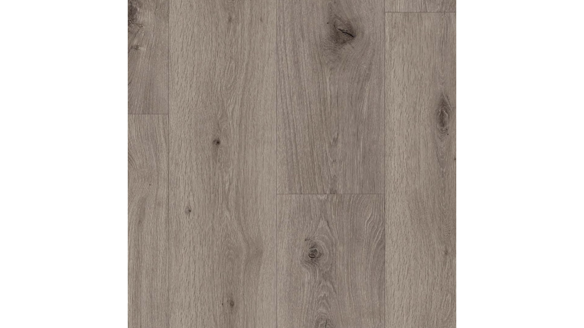 Parador Trendtime 8 Oak Imperial Light Grey SPC Rigid Click Vinyl Flooring