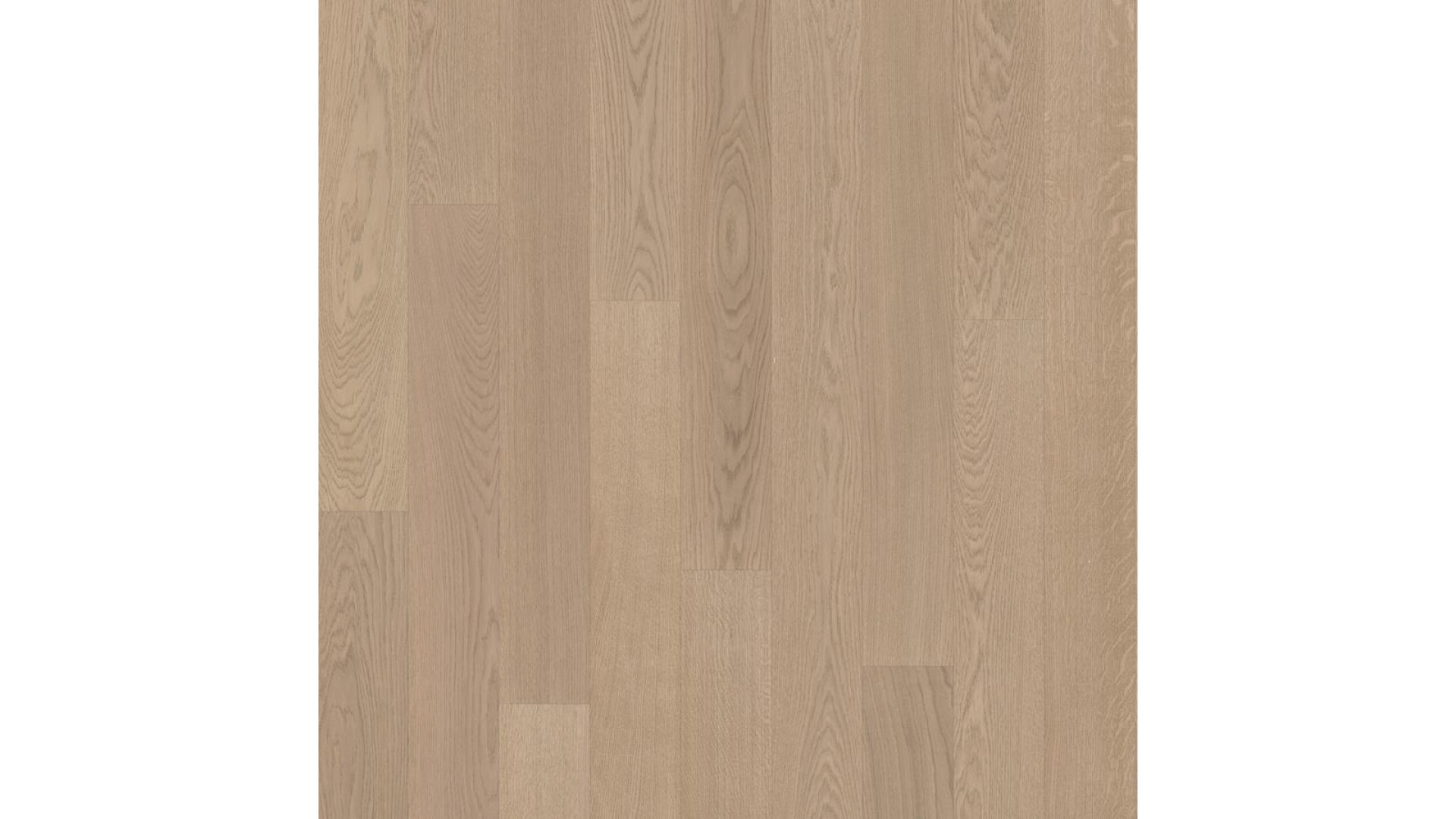 Kahrs Capital Oak Prague