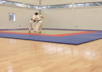 Boen Actiflex Stadium Beech Wood Sport Activity Flooring